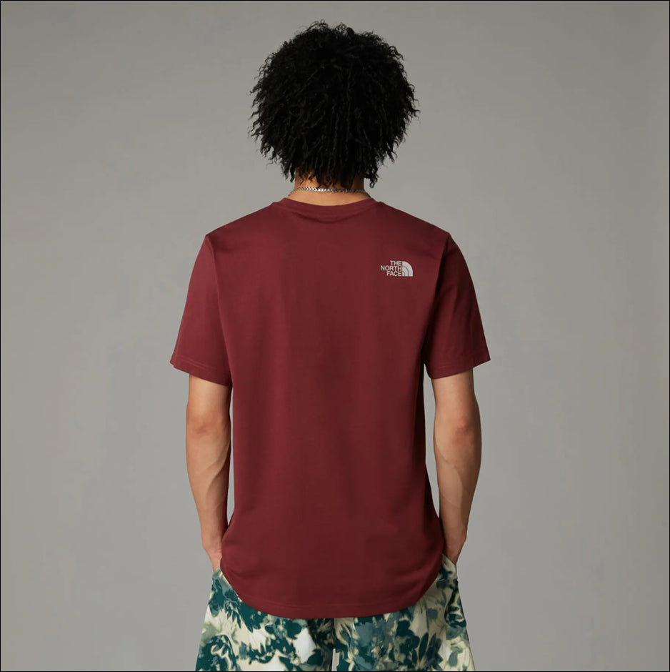 THE NORTH FACE CAMISETA EASY HOMBRE SUMAC MOONSTONE
