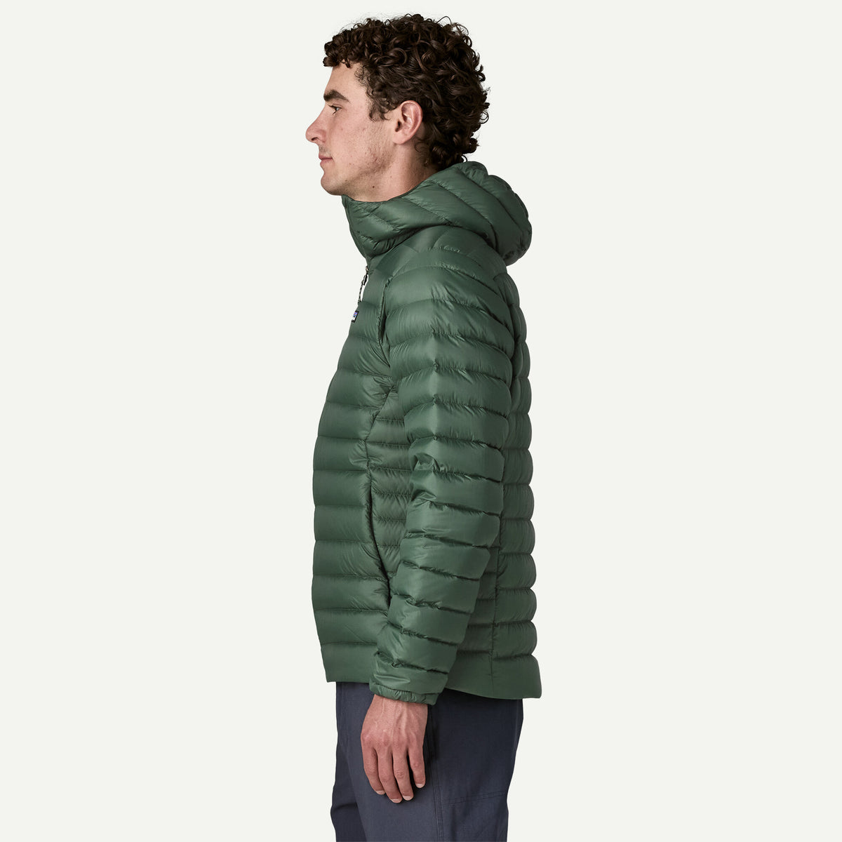 Patagonia Down Sweater Hoody hombre Treeline Green