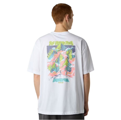 THE NORTH FACE CAMISETA EXPEDITION CELEBRATION UNISEX