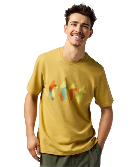 COTOPAXI CAMISETA CUATRO BITMAP HOMBRE