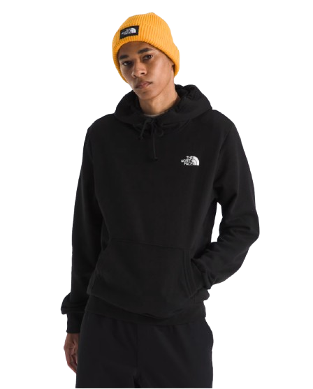 THE NORTH FACE SUDADERA EVOLUTION BOX NSE REGULAR HOODIE HOMBRE