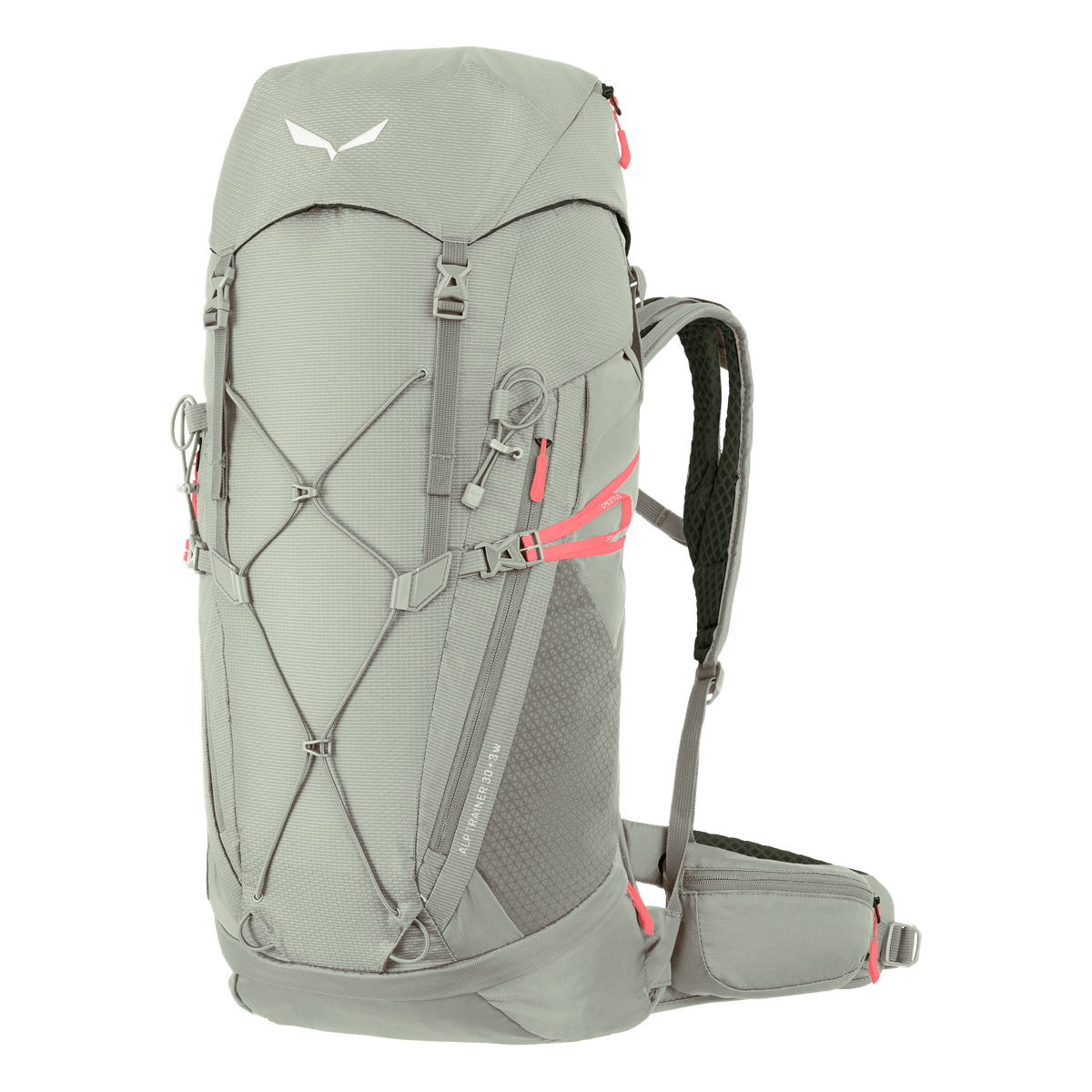 SALEWA ALP TRAINER 30+3 WS