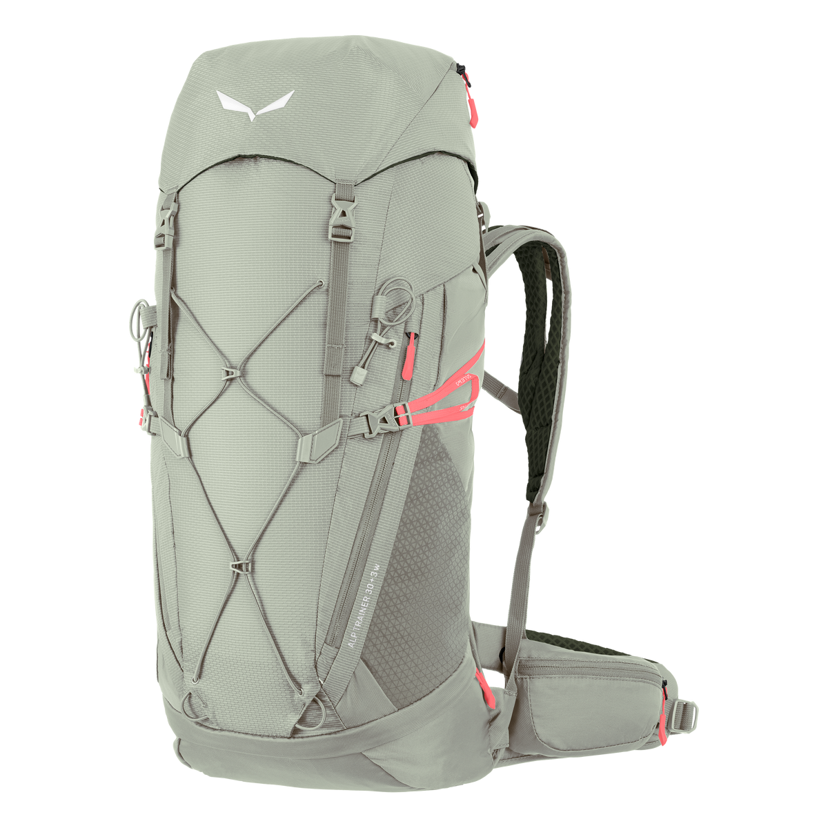 SALEWA ALP TRAINER 30+3 WS