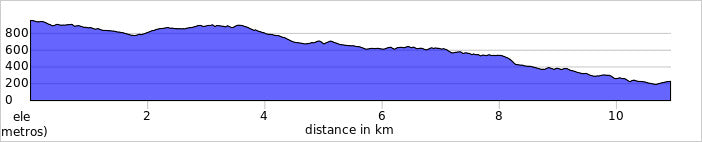 3ª Etapa Descubre Anaga - Cruz del Carmen a Afur