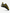 LA SPORTIVA MIURA VS BLACK YELLOW