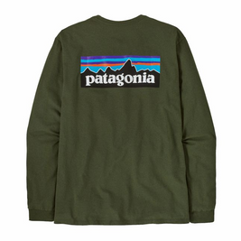 PATAGONIA CAMISETA MANGA LARGA P-6 LOGO RESPONSIBILI TORREY PINE GREEN
