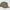 WILDCOUNTRY GORRA SEQUENCE BRINDLE