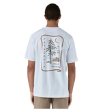 PATAGONIA CAMISETA CLEAN CLIMB ROOTS HOMBRE
