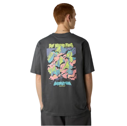 THE NORTH FACE CAMISETA EXPEDITION CELEBRATION UNISEX