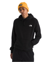 THE NORTH FACE SUDADERA EVOLUTION BOX NSE REGULAR HOODIE HOMBRE