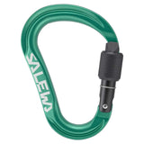 SALEWA ORTLES HMS  MOSQUETON MED VERDE